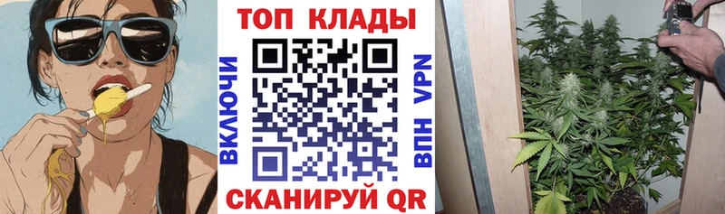 Купить закладку Кораблино Каннабис  Мефедрон  A PVP  Галлюциногенные грибы  ГАШ 