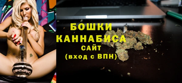 дурь Алзамай