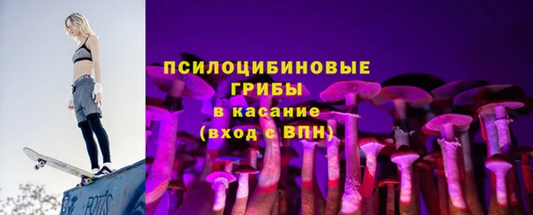 PSILOCYBIN Алексин