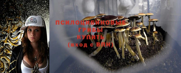 герыч Абдулино