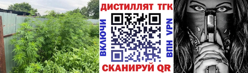 закладки  Кораблино  Дистиллят ТГК вейп 