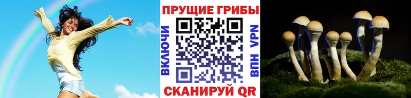 цена   Кораблино  Галлюциногенные грибы ЛСД 